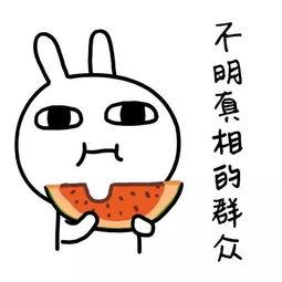 娱乐吃瓜酱语法